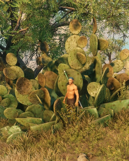 Screenshot of Mature Prickly Pear of Large Size