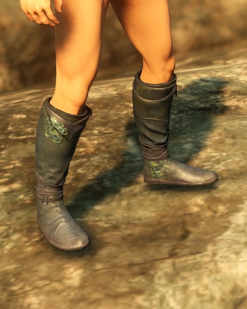 Brined Boots of the Sentry