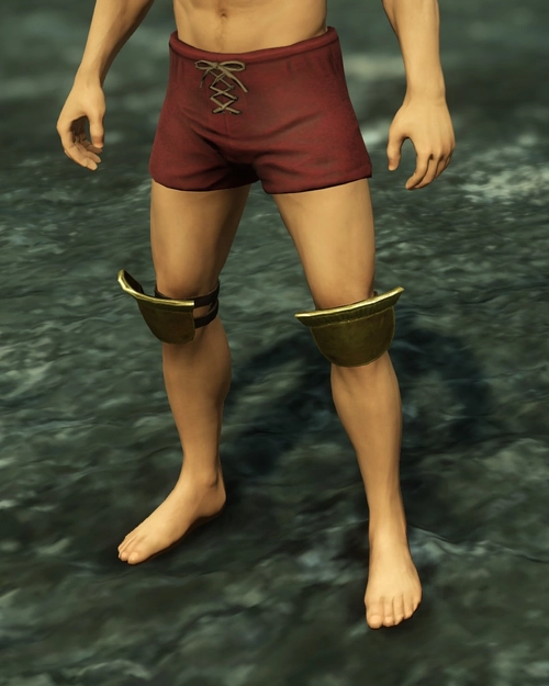 Aureates Golden Braccae