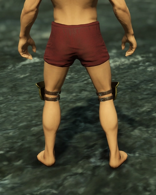 Aureates Golden Braccae