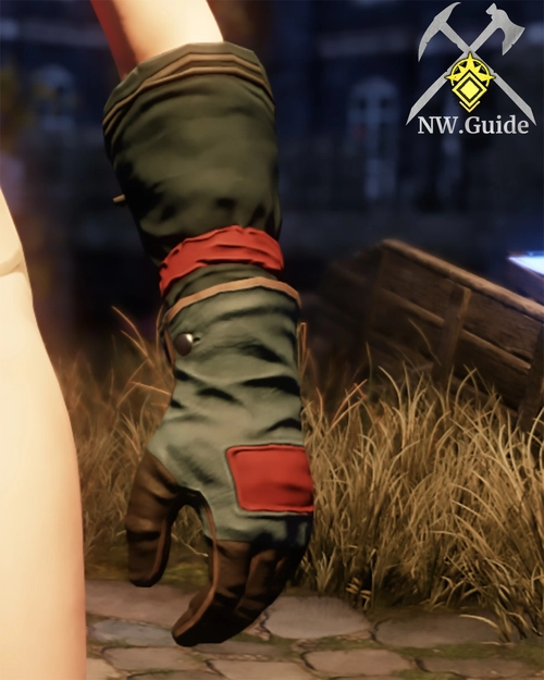 Screenshot of Tanner Gloves T5 used by the character