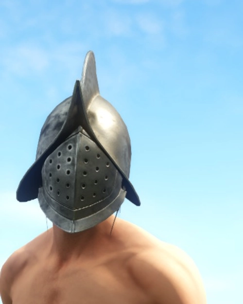 Plate Helm T3 Photo