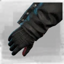 Icon for item "Fein gewobene Handschuhe"