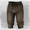 Icon for item "Icon for item "Hopeful Defender Cloth Pants""