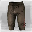 Icon for item "Hose der Vergessenen"