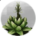 Icon for item "Blütenkappe"
