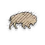 Icon for gatherable "Dziwny bizon"