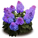 Icono del item "Hortensia de Reposortiga"