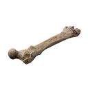 Icono del item "Huesos de mustio recientes"