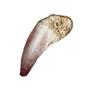 Icon for item "Alligator Teeth"