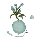 Icon for item "Engorged Rivercress Stem"