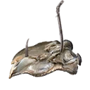 Icono del item "Cebo de ostra"