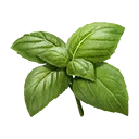 Icon for item "Basil"