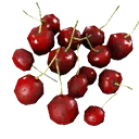 Icon for gatherable "Berry Bush"