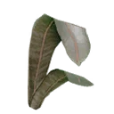 图标用于 "Blightroot Leaf"
