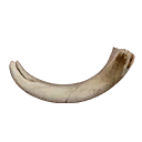 Icon for item "Pristine Boar Tusk"
