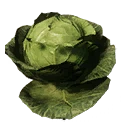 Icon for gatherable "Cabbage"
