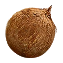 Symbol für Gegenstand "Kokosnuss"