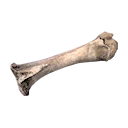 Icon for item "Strong Animal Bone"