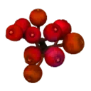 图标用于 "Cranberries"