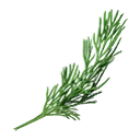 Icon for item "Dill"
