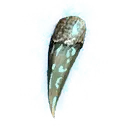 Icon for item "Infused Fang"