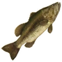 Icon for item "Large Bass"