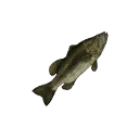 Icon for item "Small Bass"