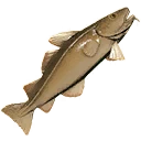 Иконка для "Large Cod"