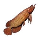 Symbol für Gegenstand "Mittelgroßer Drachenfisch"