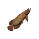 Symbol für Gegenstand "Kleiner Drachenfisch"