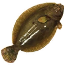 Icon for item "Large Flounder"