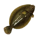 Icon for item "Medium Flounder"