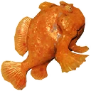 Icona per articolo "Pesce rana grande"