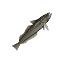 Icon for item "Small Hake"