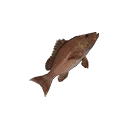 Icon for item "Small Snapper"
