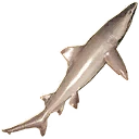图标用于 "Large Speartooth Shark"