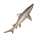 Icono del item "Tiburón lanza mediano"