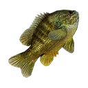 图标用于 "Medium Sunfish"