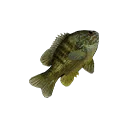 Icon for item "Small Sunfish"