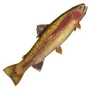 Icon for item "Large Trout"