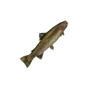 Icon for item "Small Trout"