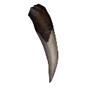 Icon for item "Large Fang"