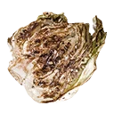 Icon for item "Herb-Roasted Cabbage"