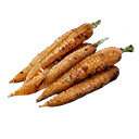 Icono del item "Zanahorias asadas con eneldo"