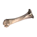 Icon for item "Abnormal Bone"