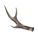 Symbol für Gegenstand "Horn"