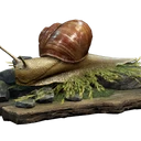 图标用于 "Aquatic Snail - Small Memento"