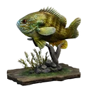 Icono del item "Recuerdo pequeño: pez luna"