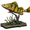 Icona per articolo "Pesce persico - Souvenir piccolo"